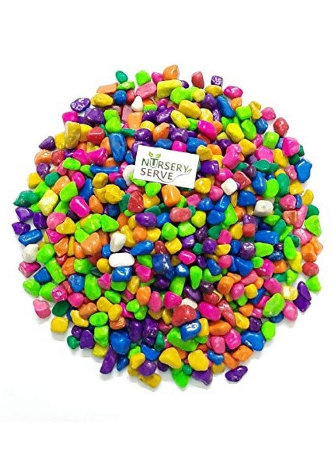 Somil Multicolor Pebbles/Stones for Garden, Plants, Lawns, Aquariums, Fish Pots, Home Decor, Vases, Furniture Filler. Size: 10-30mm, Shiny Multicolor -A641 - Image 1